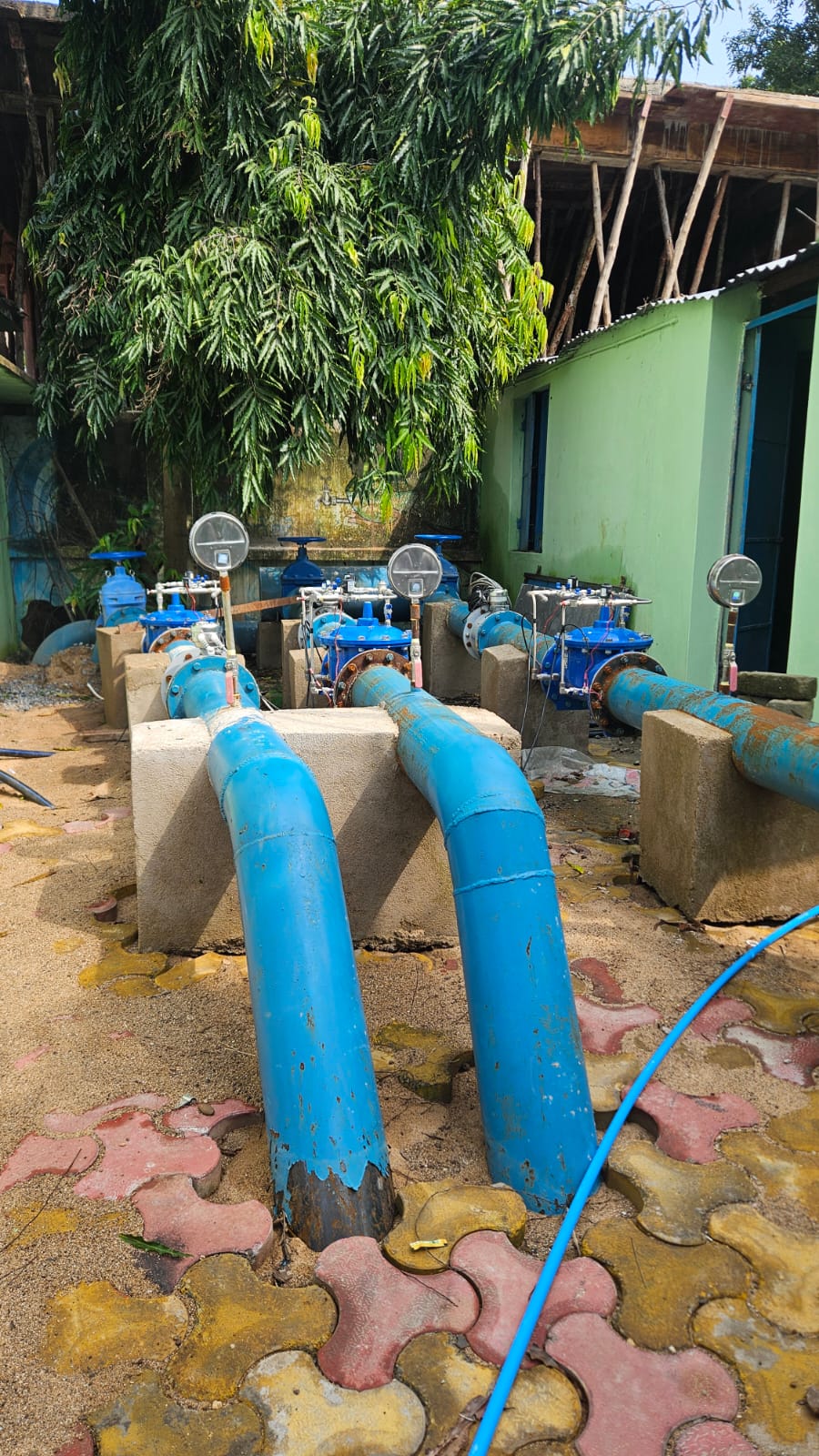 WhatsApp Image 2024-11-08 at 08.26.23.jpeg