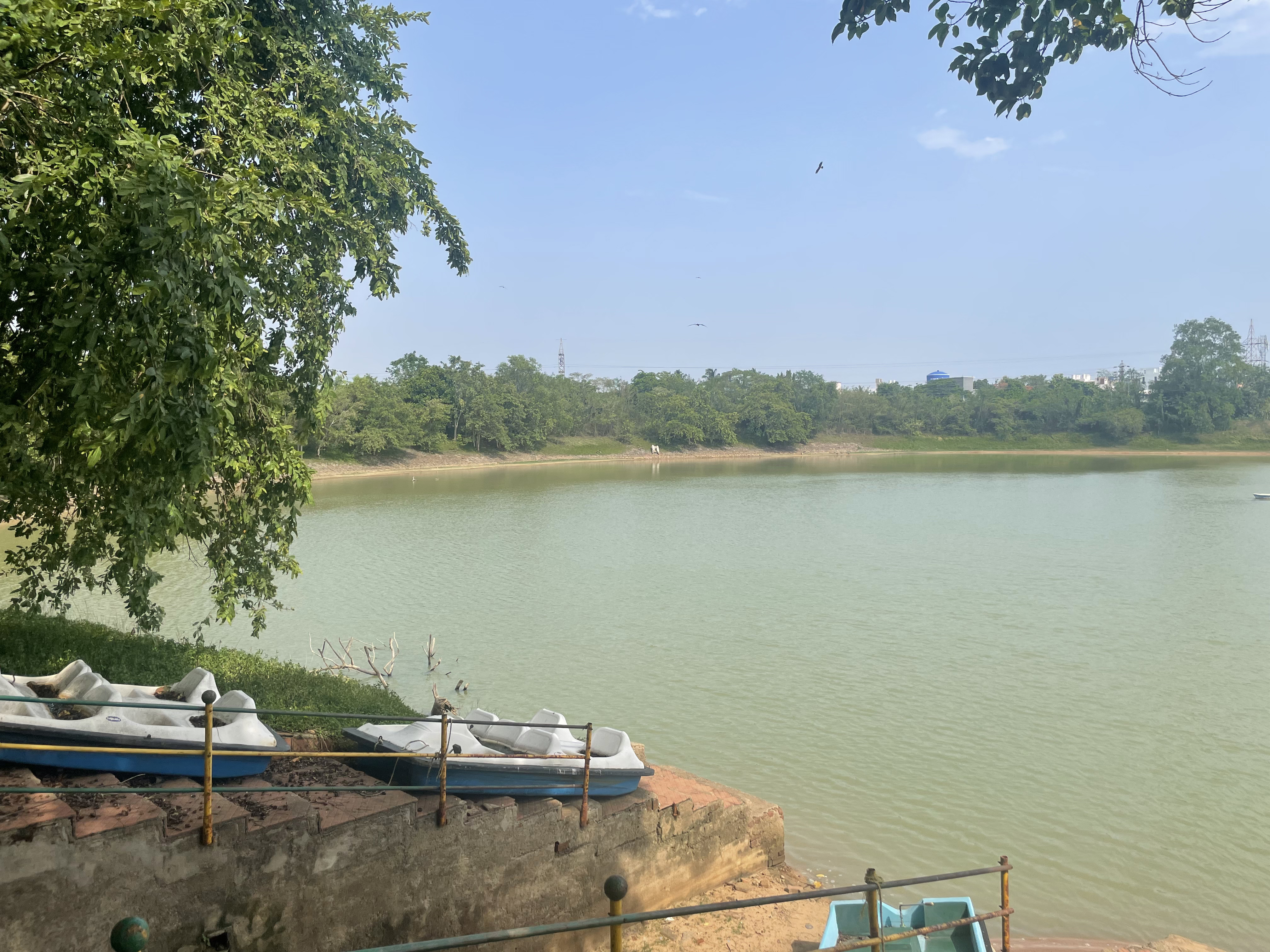 Proliferating Ecosystem Based Adaptation Practices in Indian Cities (EPIC)