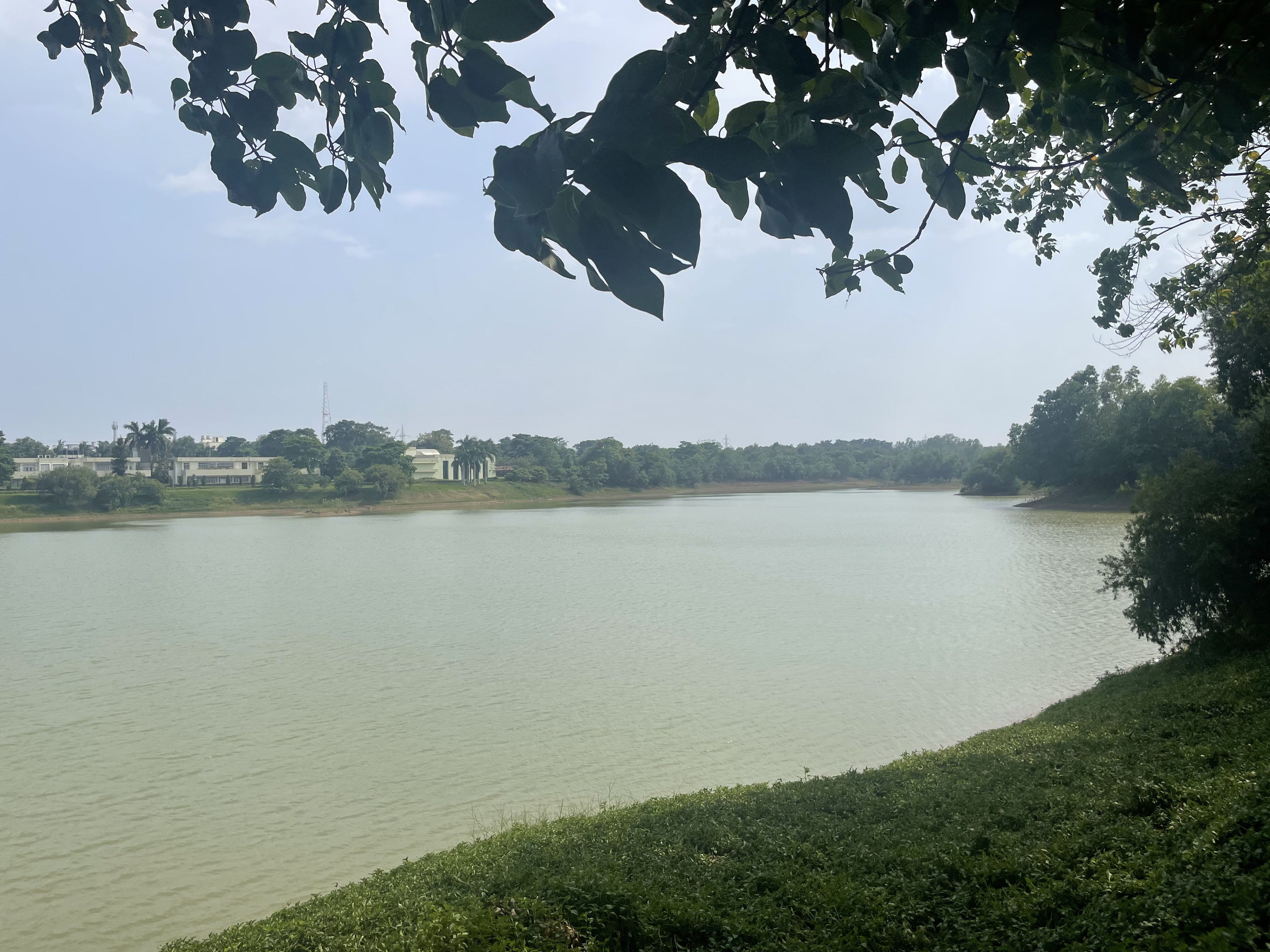 Proliferating Ecosystem Based Adaptation Practices in Indian Cities (EPIC)