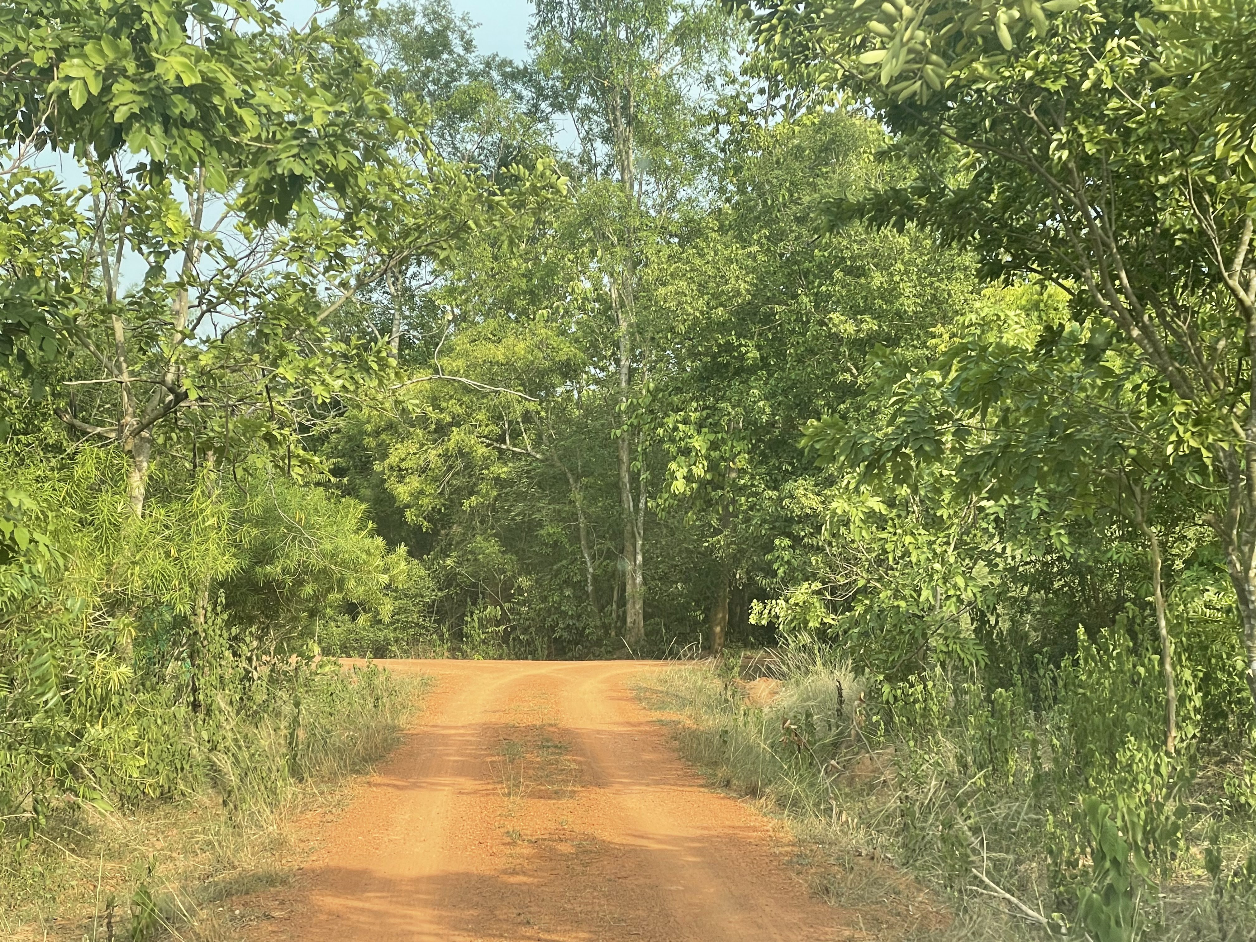 Proliferating Ecosystem Based Adaptation Practices in Indian Cities (EPIC)