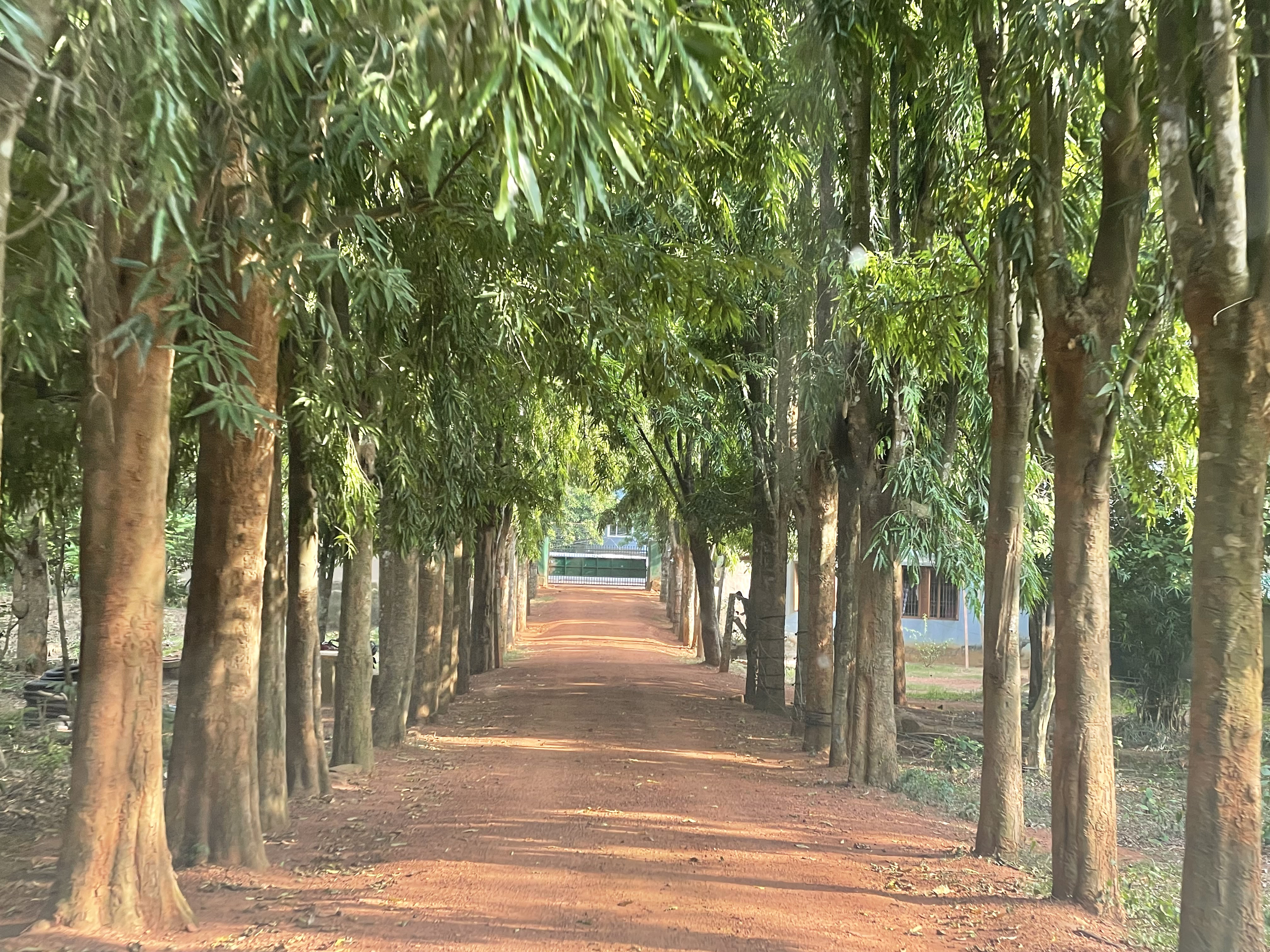 Proliferating Ecosystem Based Adaptation Practices in Indian Cities (EPIC)