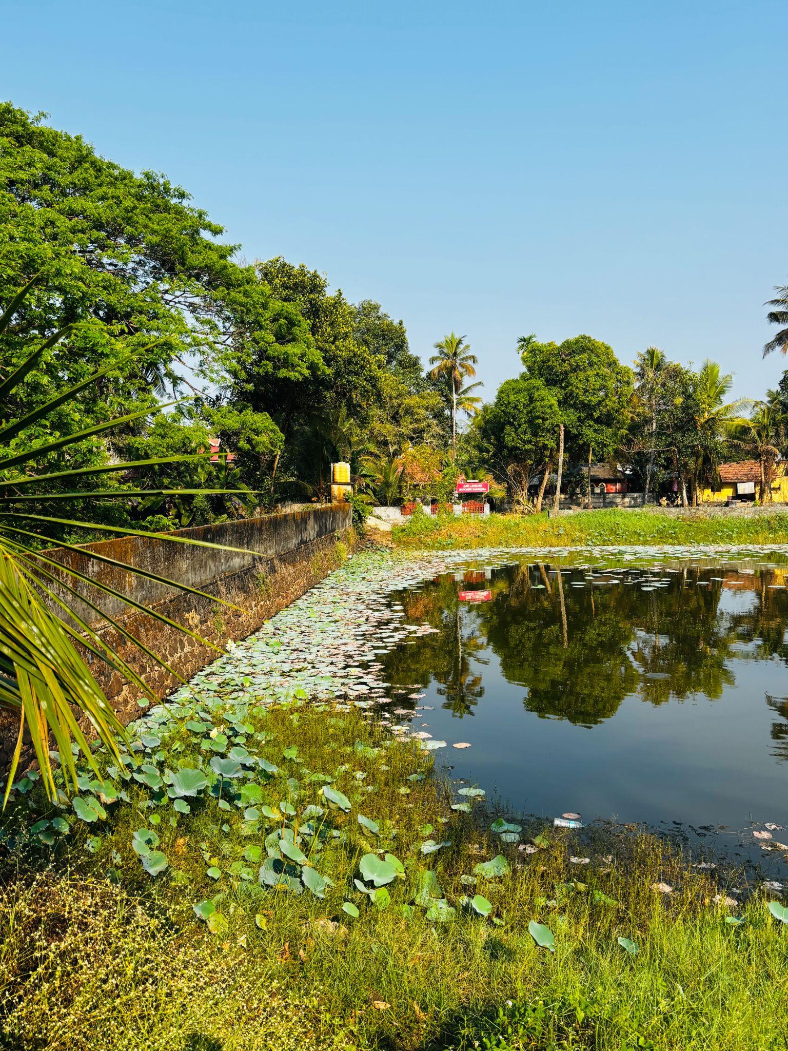 Urban Water Bodies in India: Challenges, Initiatives, and NIUA's UWD Tool