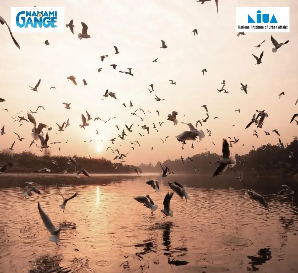 Policy Brief on the Future of River Management