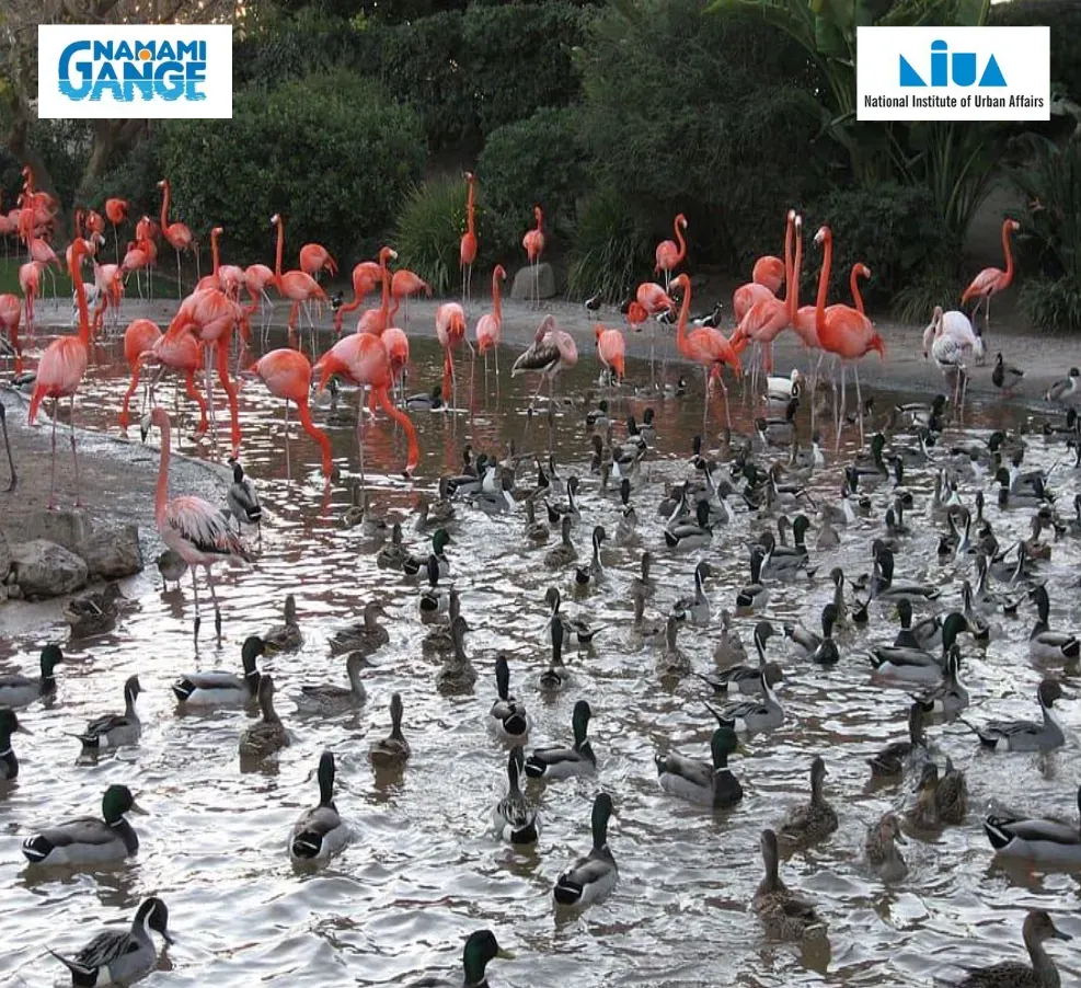 Eco-friendly Interventions for Riverfront Development