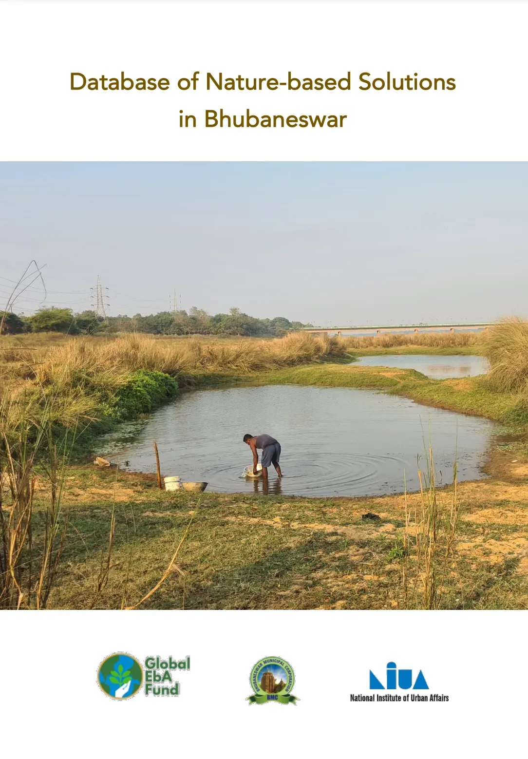 Database of Nature-based Solutions in Bhubaneswar