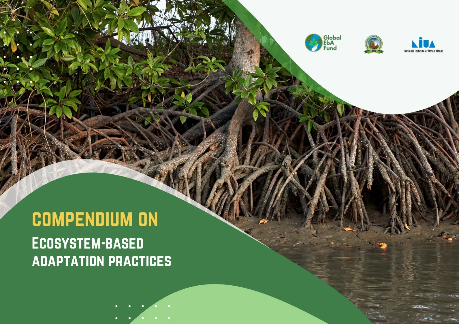 Compendium on Ecosystem-based Adaptation Practices 